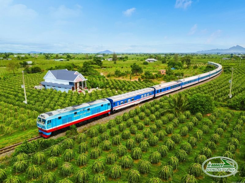 Tàu Hà Nội Diêu Trì Tàu Hà Nội Diêu Trì