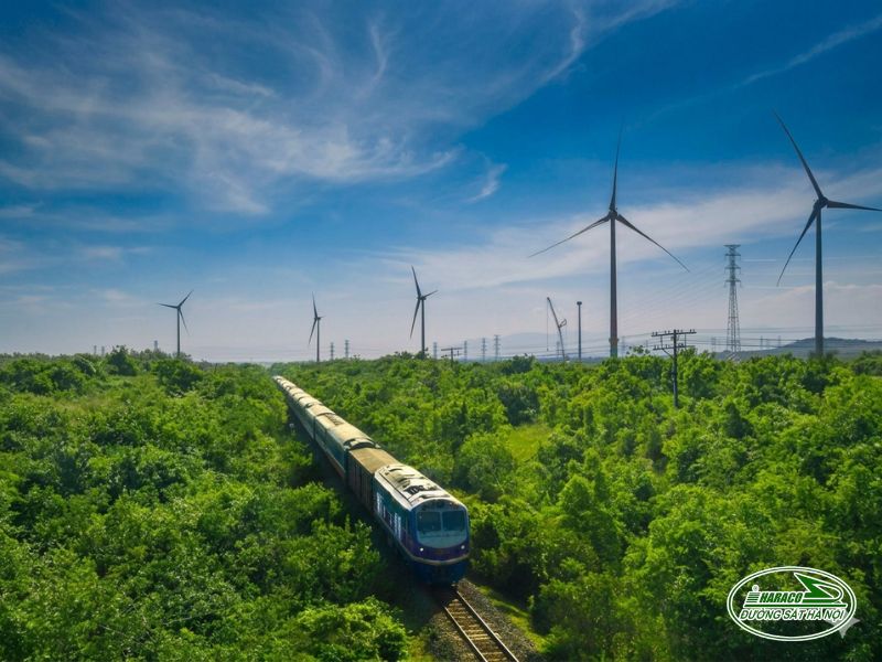 Tàu Hà Nội Quảng Ngãi