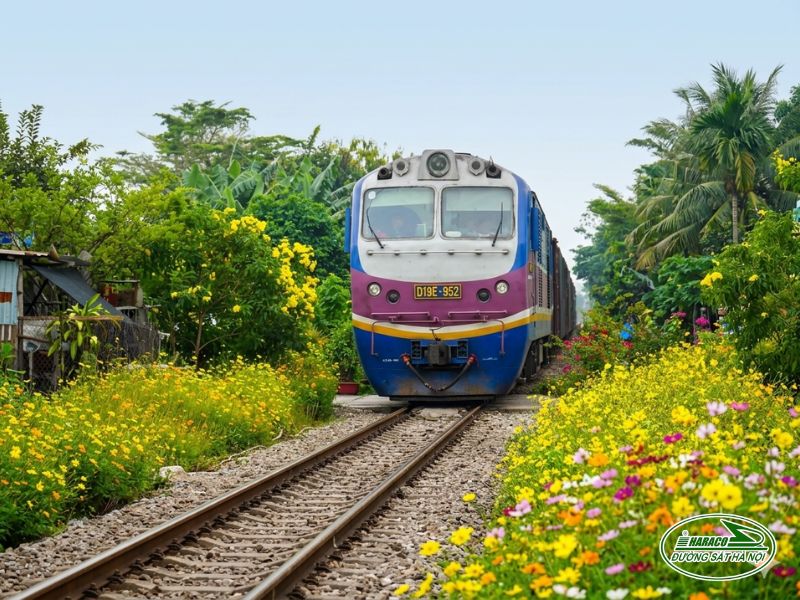 Tàu Hà Nội Quảng Ngãi