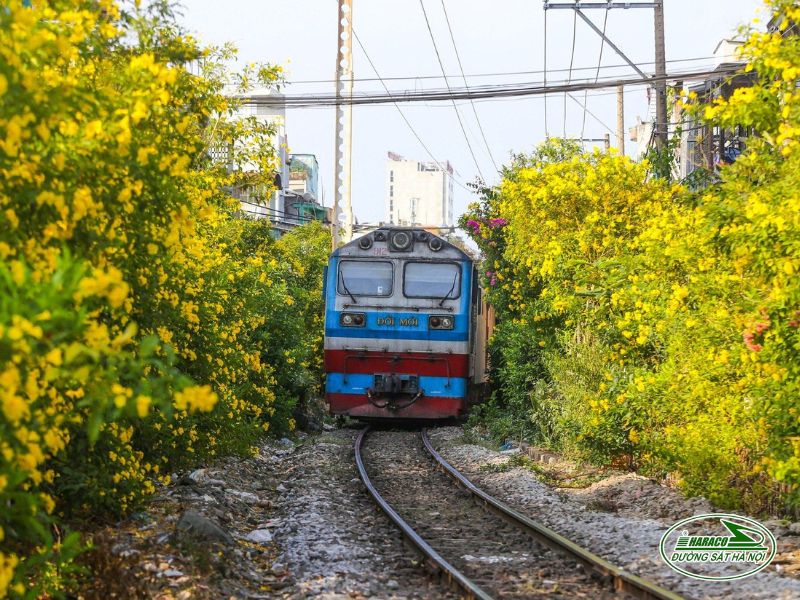 Tàu Hà Nội Tam Kỳ Tàu Hà Nội Tam Kỳ