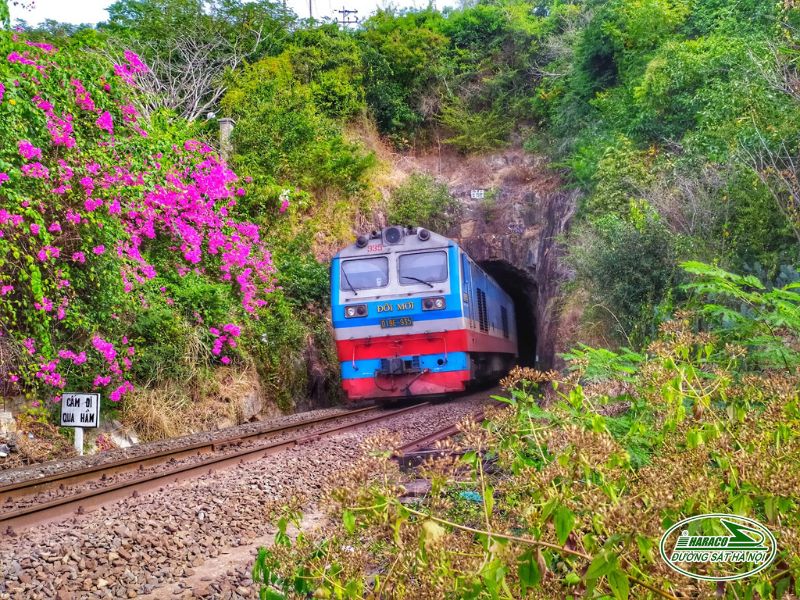 Tàu Hà Nội Tuy Hòa