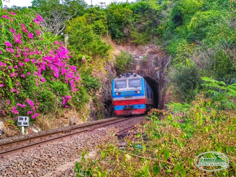 Tàu Ninh Bình Bình Thuận