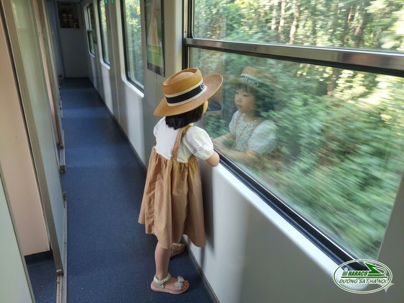 Tàu Ninh Bình Đà Nẵng