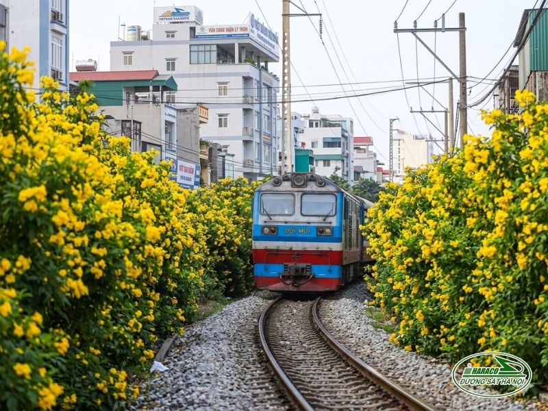 Tàu Ninh Bình Nam Định