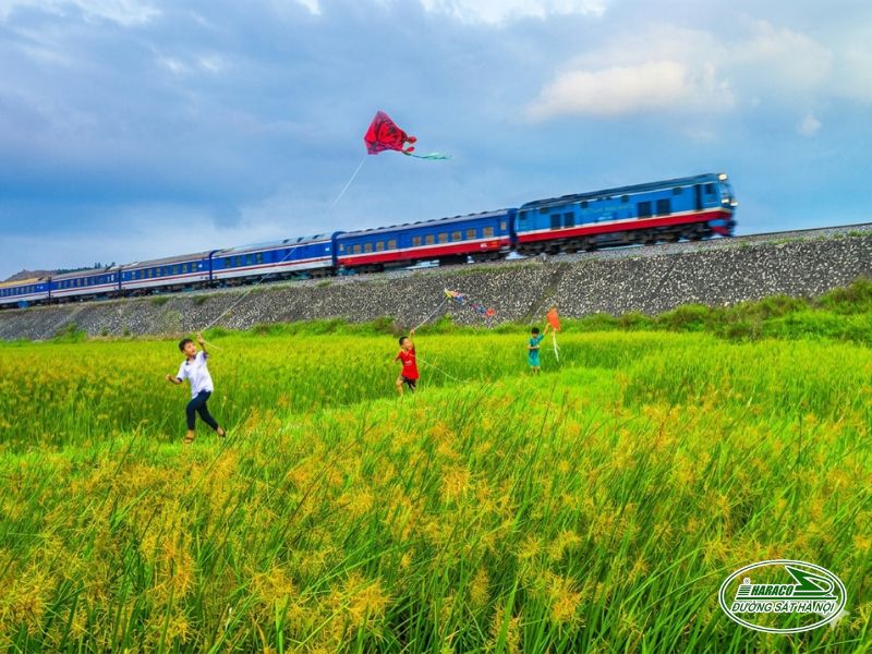 Tàu Ninh Bình Nam Định