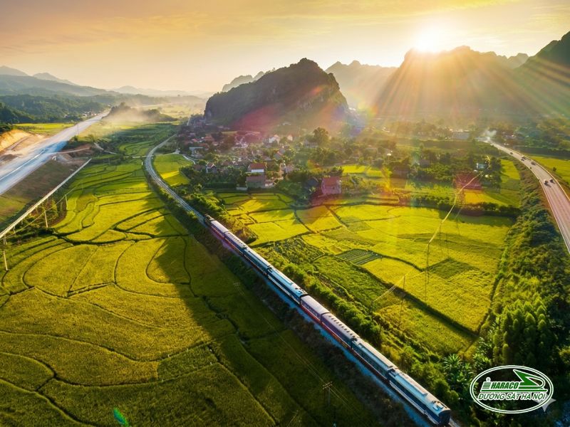 Tàu Ninh Bình Nam Định