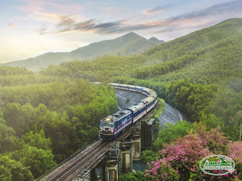 Tàu Ninh Bình Nha Trang