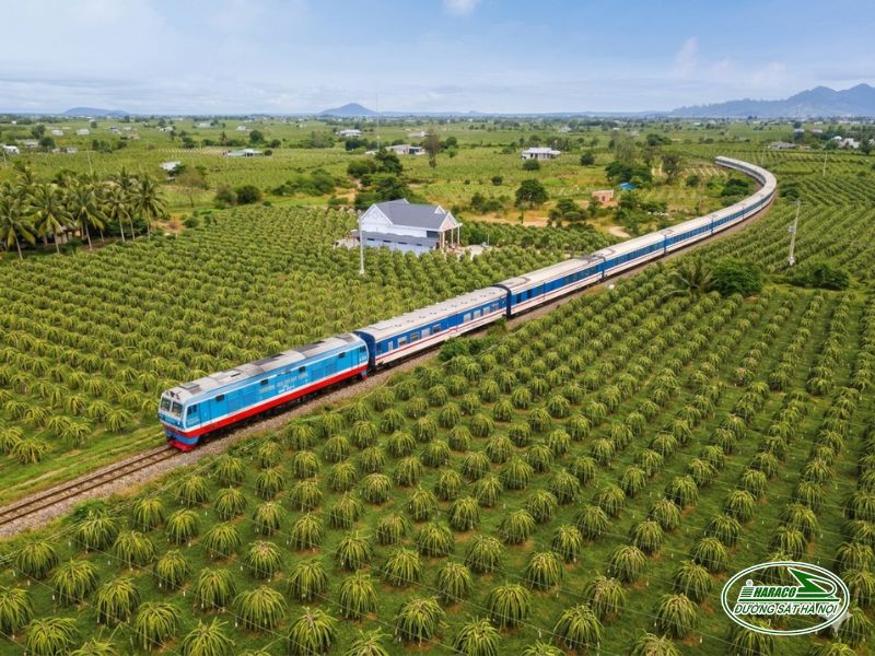 Tàu Ninh Bình Tháp Chàm Tàu Ninh Bình Tháp Chàm