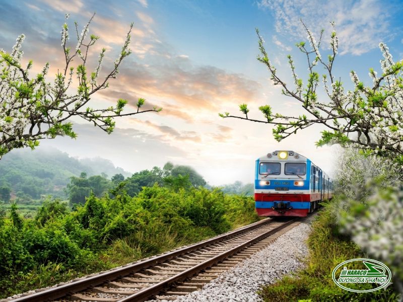 Tàu Ninh Bình Tháp Chàm Tàu Ninh Bình Tháp Chàm