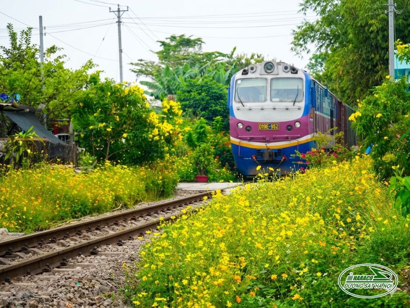 Tàu Ninh Bình Tháp Chàm Tàu Ninh Bình Tháp Chàm