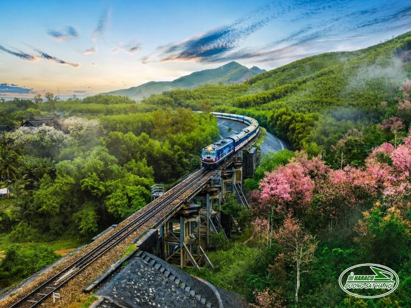 Tàu Ninh Bình Tháp Chàm Tàu Ninh Bình Tháp Chàm