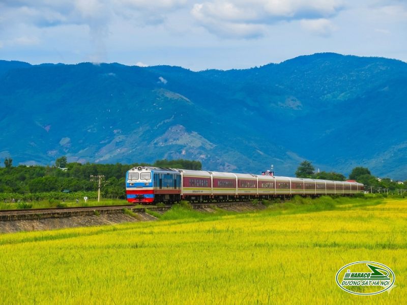 Tàu Sài Gòn Diêu Trì