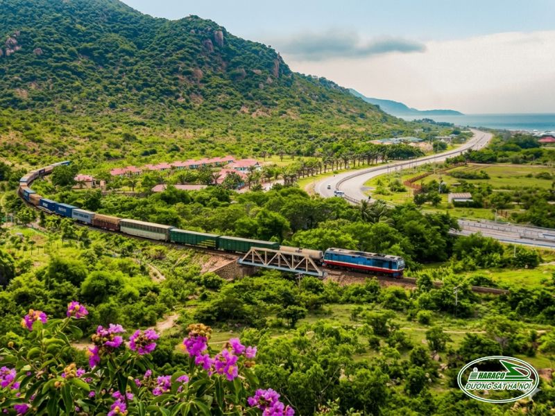 Tàu Sài Gòn Đồng Hới