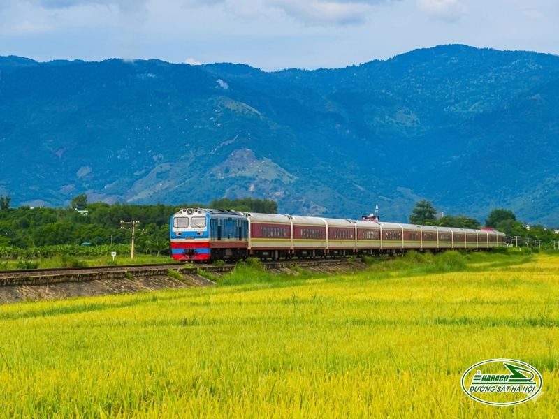 Tàu Sài Gòn Nam Định