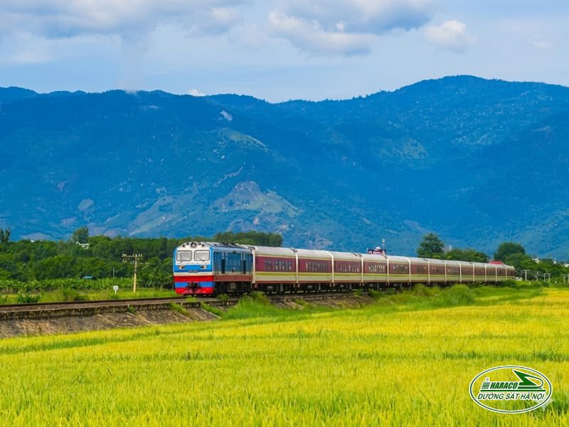 Tàu Sài Gòn Tháp Chàm